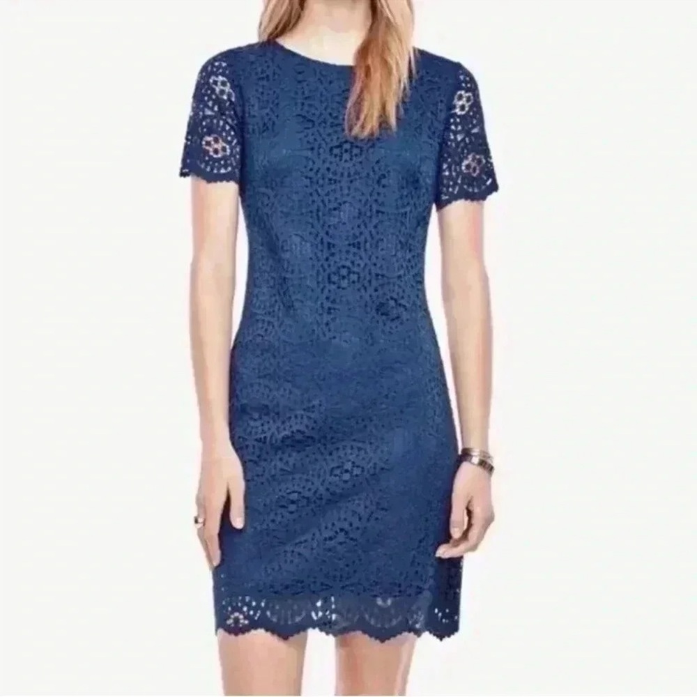 Ann Taylor Elegant Blue Lace Dress